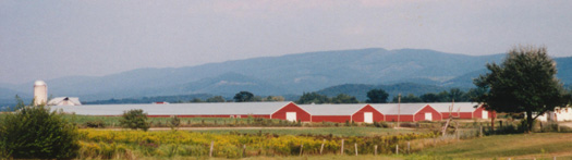 poultry farm