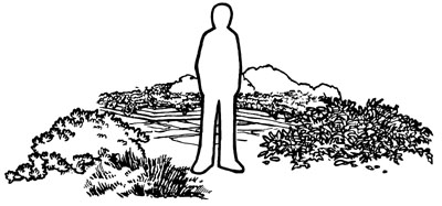 drawing of a person standing in an area with a variety of ground covers