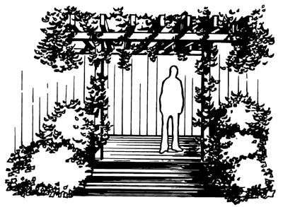 drawing of a person standing under a pergola wrapped in vines