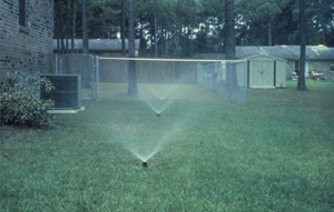 Sprinkler spray heads
