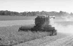 Combine in field