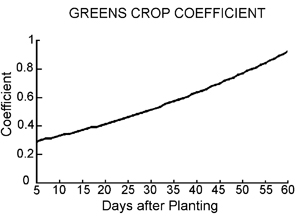 Greens crop coefficient by days after planting. Coefficient increases relatively consistently.