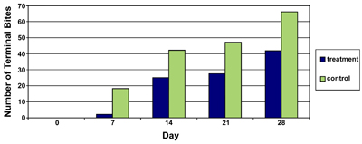 Average number of terminal bites (buds removed by deer) on Chrysanthemum observed at seven-day intervals on Berry College campus (Oak Hill Garden site) during summer, 2004. Control is higher than treatment at all days