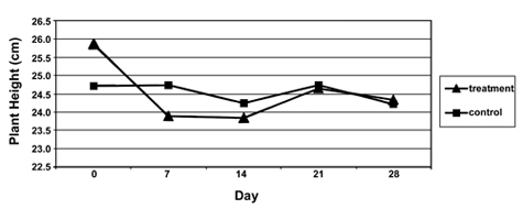 Average height (cm) of Chrysanthemum recorded at seven-day intervals at the Oak Hill Garden site on the Berry College campus, Mt. Berry, Ga., summer, 2004. Treatment and control converge over time
