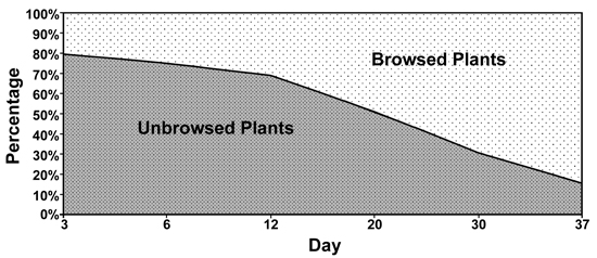 Graph of browsed and unbrowsed plants in treatment plots by day after planting. The average percentage of unbrowsed plants decreases over time, more quickly after 12 days post planting. At 3 days 80% is unbrowsed and at 37 days around 15% is unbrowsed.