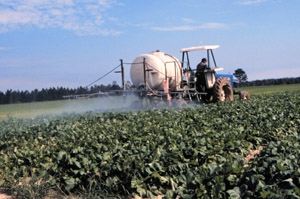 Boom sprayer