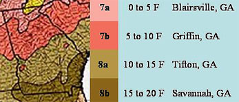 Georgia climate zones with average minimum temperature ranges and examples of cities in those areas. Zone 7a has a minimum temperature of 0 to 5 degrees F and contains Blairsville. Zone 7b has a minimum temperature of 5 to 10 degrees F and contains Griffin. Zone 8b has a minimum temperature of 10 to 15 degrees F and contains Tifton. Zone 8b has a minimum temperature of 15 to 20 degrees F and contains Savannah.