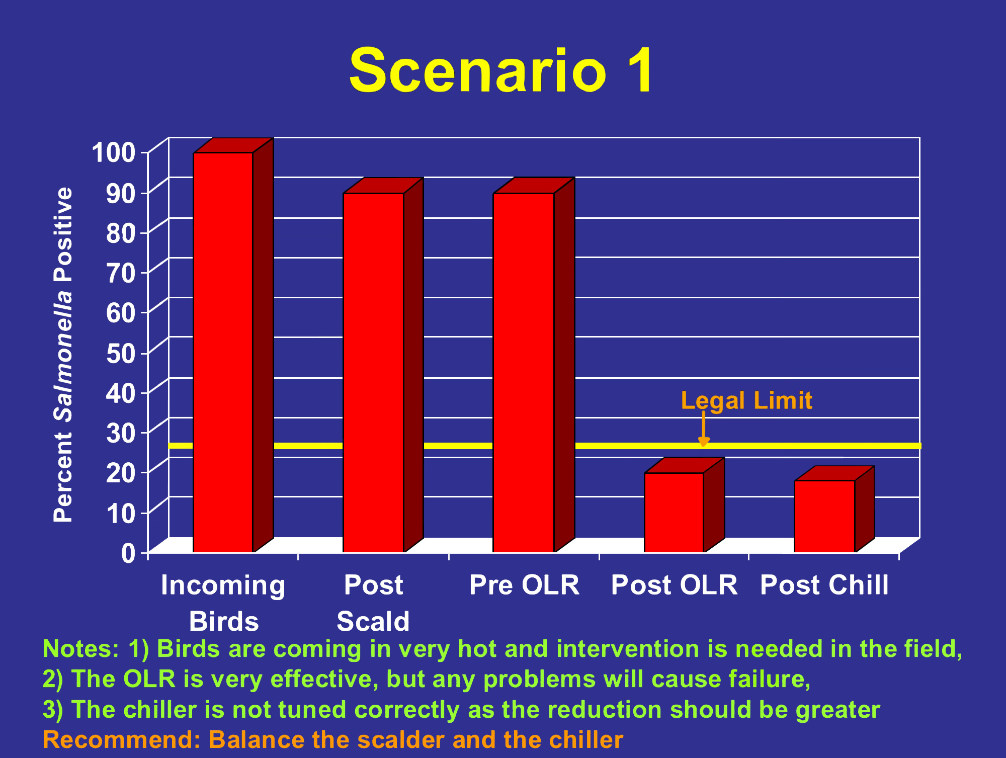 Bar chart shows that all incoming birds are positive, and post-scald and pre-OLR are about 90 percent positive. Post-OLR and post-chill, it is down to about 20 percent and below the legal limit.