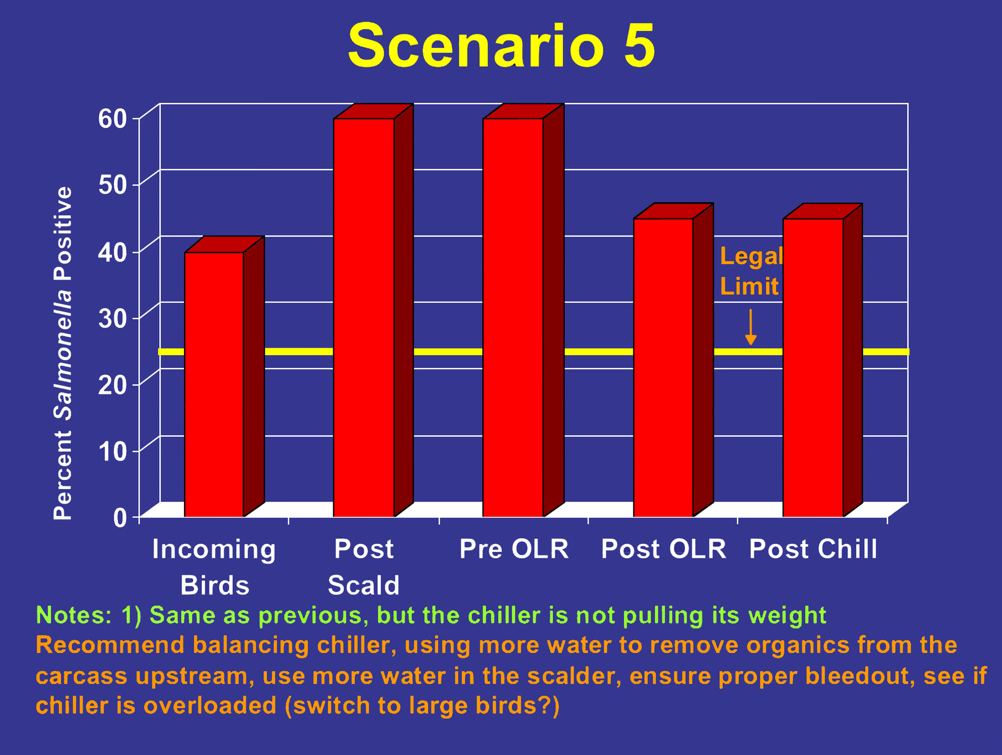 In Scenario 5, around 40 percentof incoming birds are positive. Post-scald and pre-OLR, 60 percent are positive. Post-OLR and post-chill, around 45 percent are positive.