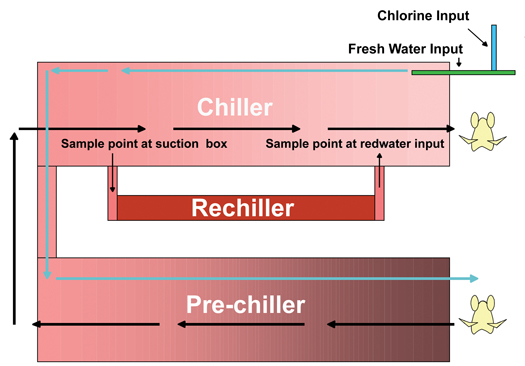Diagram of chiller redwater recycling system showing flow of water and sample points.