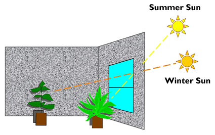 changes in natural light penetration occur with the seasons.