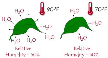 The higher the temperature, the more water vapor the air can hold.