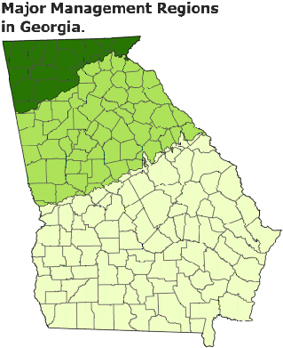 Major Management Regions of Georgia. Map of Georgia colored to show three different management regions.