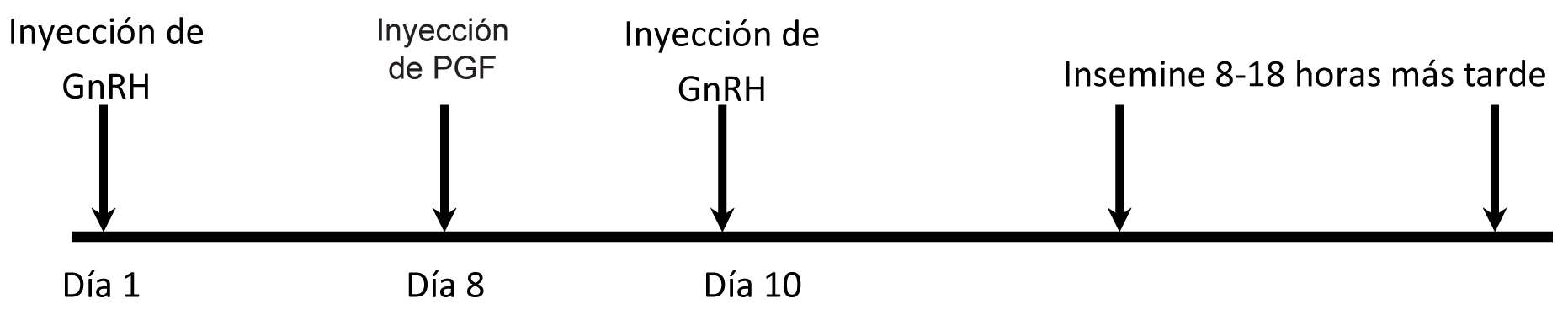 Día 1, inyección de GnRH. Día 8, inyección de PGF. Día 10, inyección de GnRH. Insemine 8-18 horas más tarde
