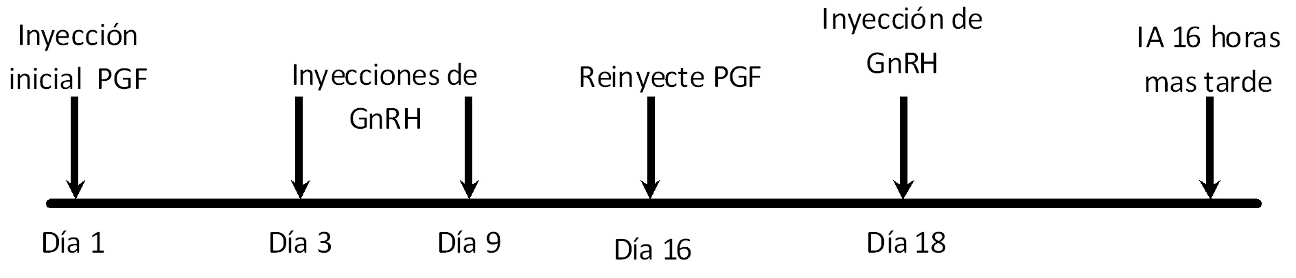 G6G Synch chart