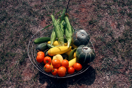 cesta de verduras