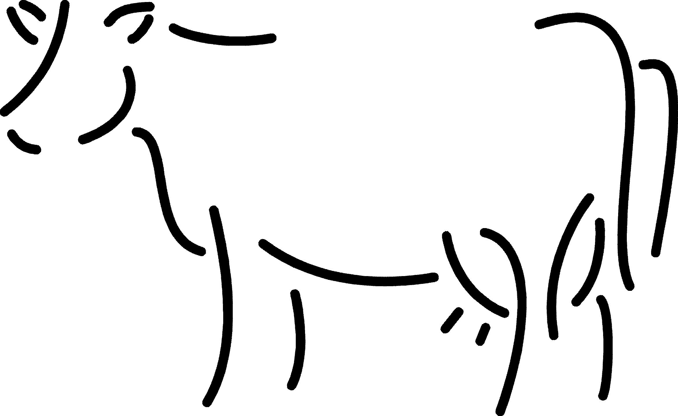 vaca