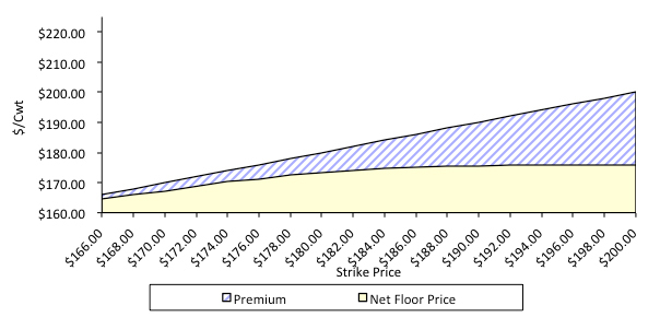 Graph of futures price for put option showing the premium and the net floor price. The net floor price increases slightly then remains constant. The premium increases at a constant rate.