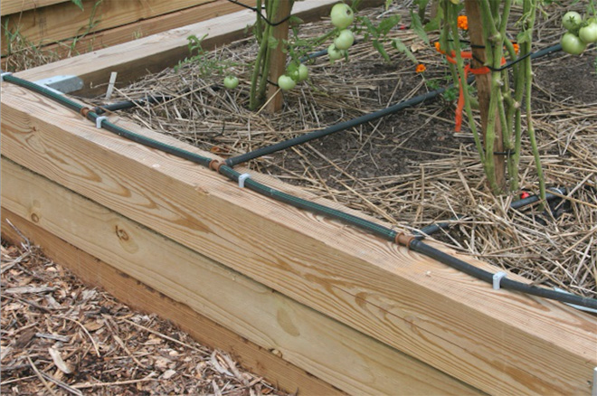 Wooden raised flower bed with drip irrigation system along the side.
