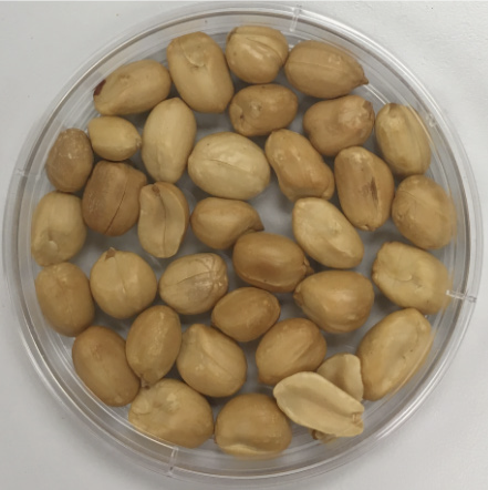 Medium roasted peanut