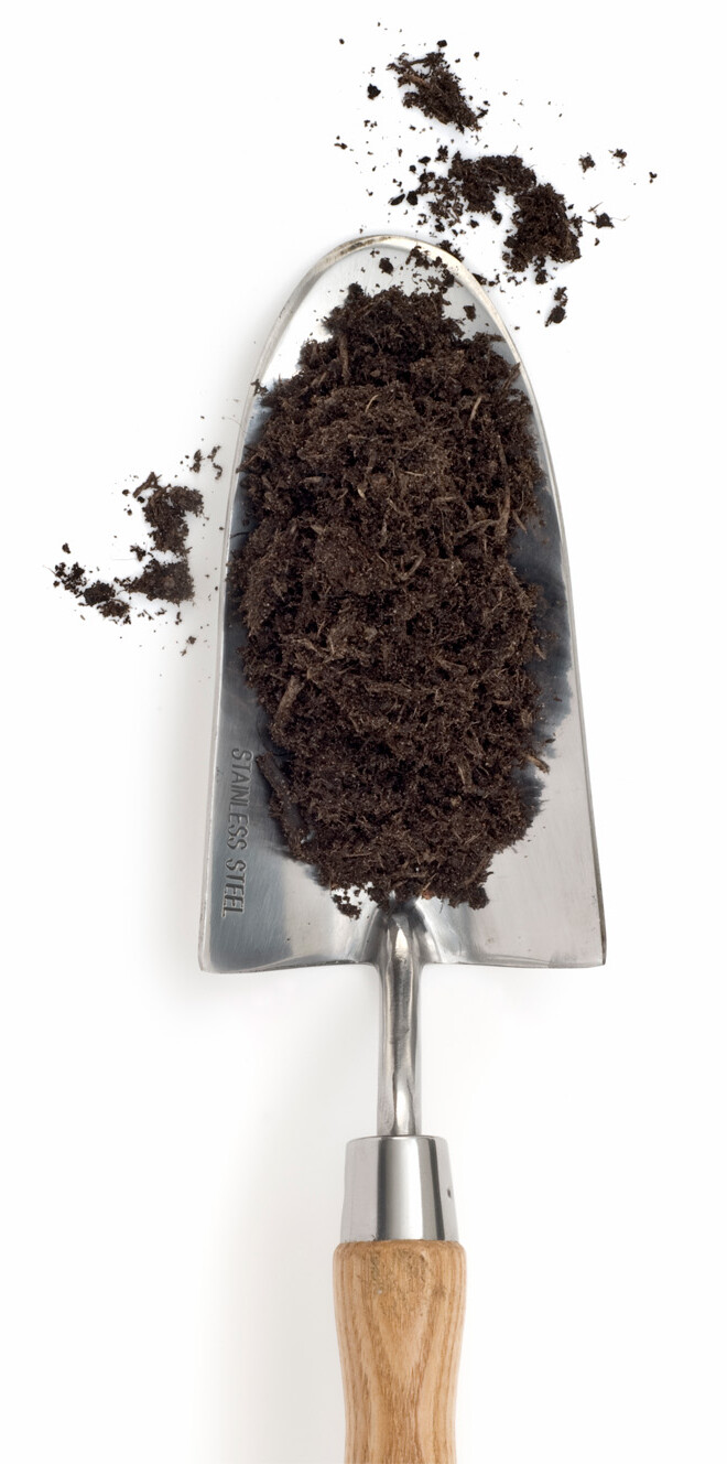 Garden trowel scooping loose soil