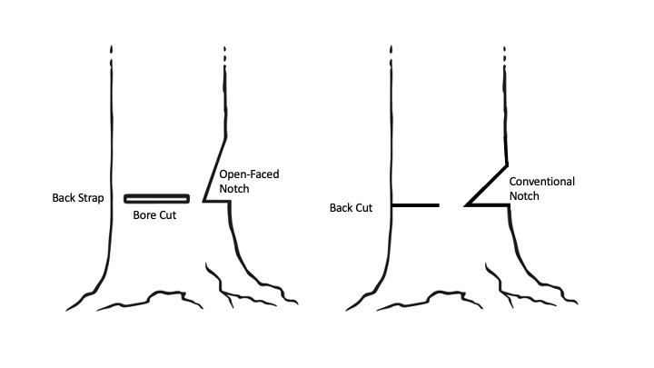 The base of two trees, one with an open-faced notch, back strap, and bore cut. The other tree shows a conventional notch and a back cut.