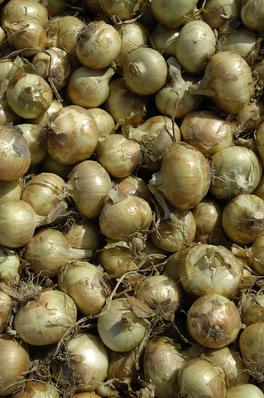 A large pile of Vidalia onions