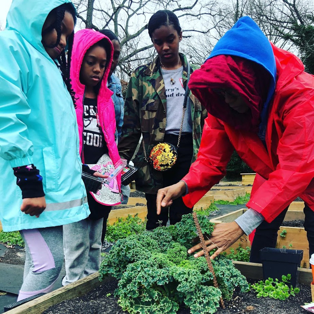 Young students learn how to grow vegetables in raised beds