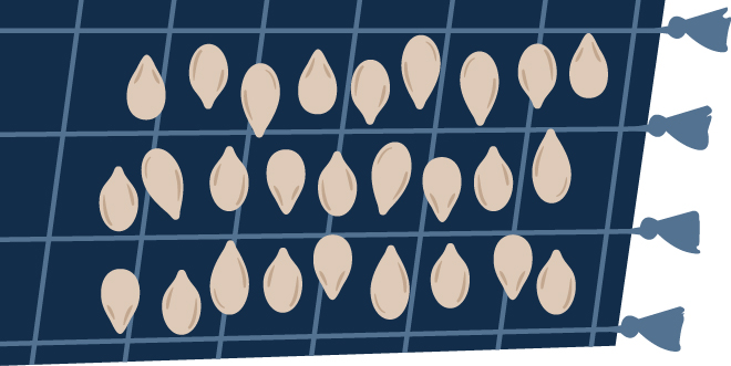 illustration of seeds laid out on a cloth