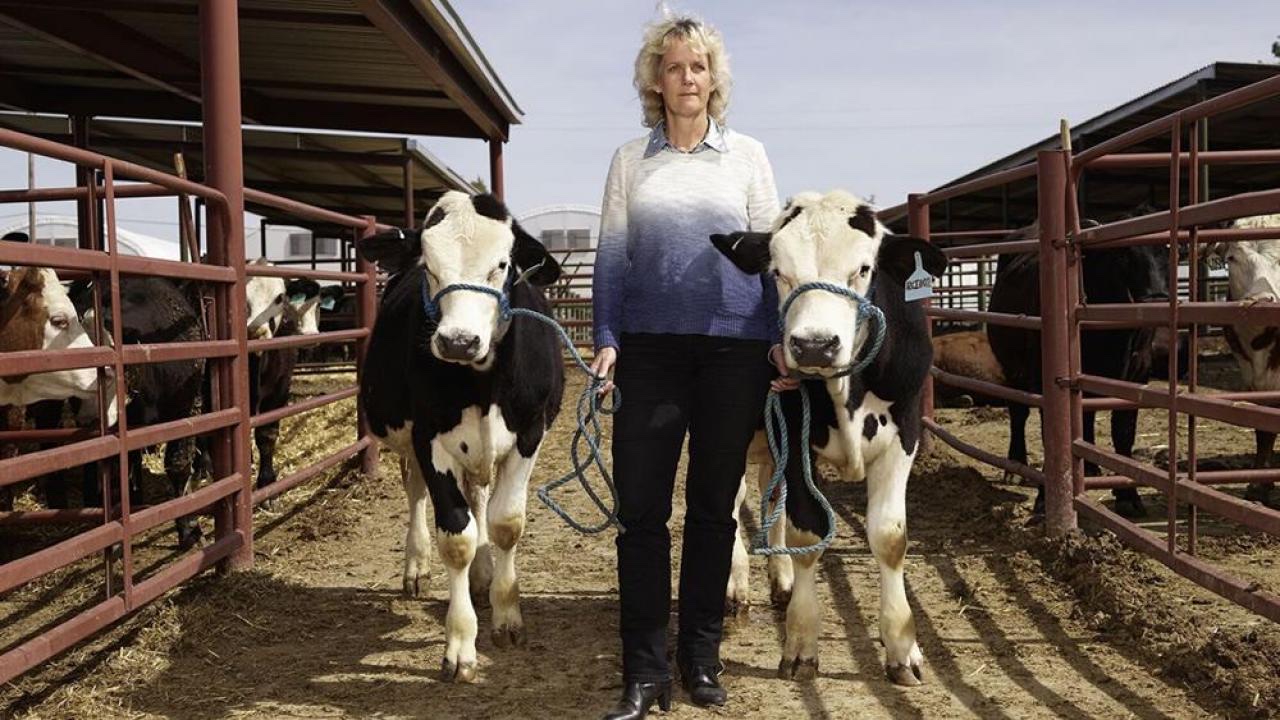 Animal geneticist Alison Van Eenennaam is the keynote speaker for the 2022 D.W. Brooks Lecture and Awards to be held November 8.