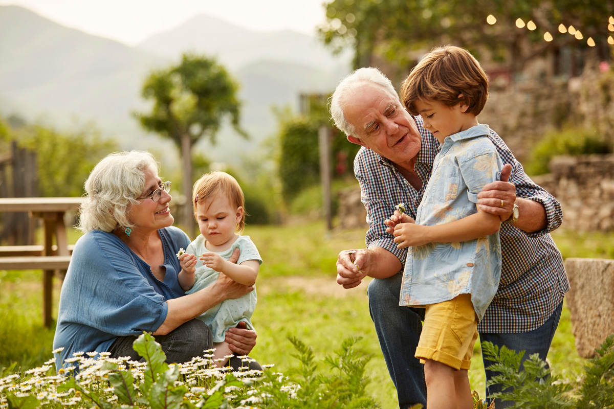 Grandparents talking to grandchildren in a field