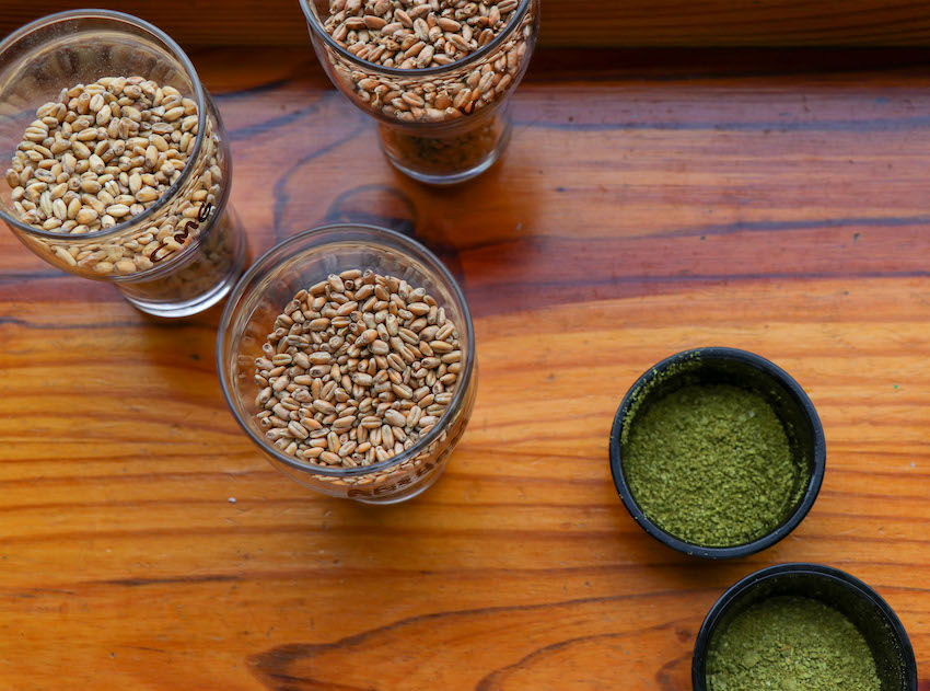 Beer ingredients are set atop tables in glasses during the blending session at Creature Comforts