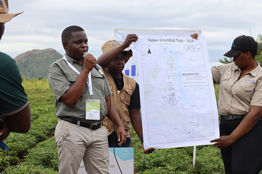 Pyxus employees hold show a map of sites whire the Feed the Future Innovation Lab works with local farmers on groundnut trials.