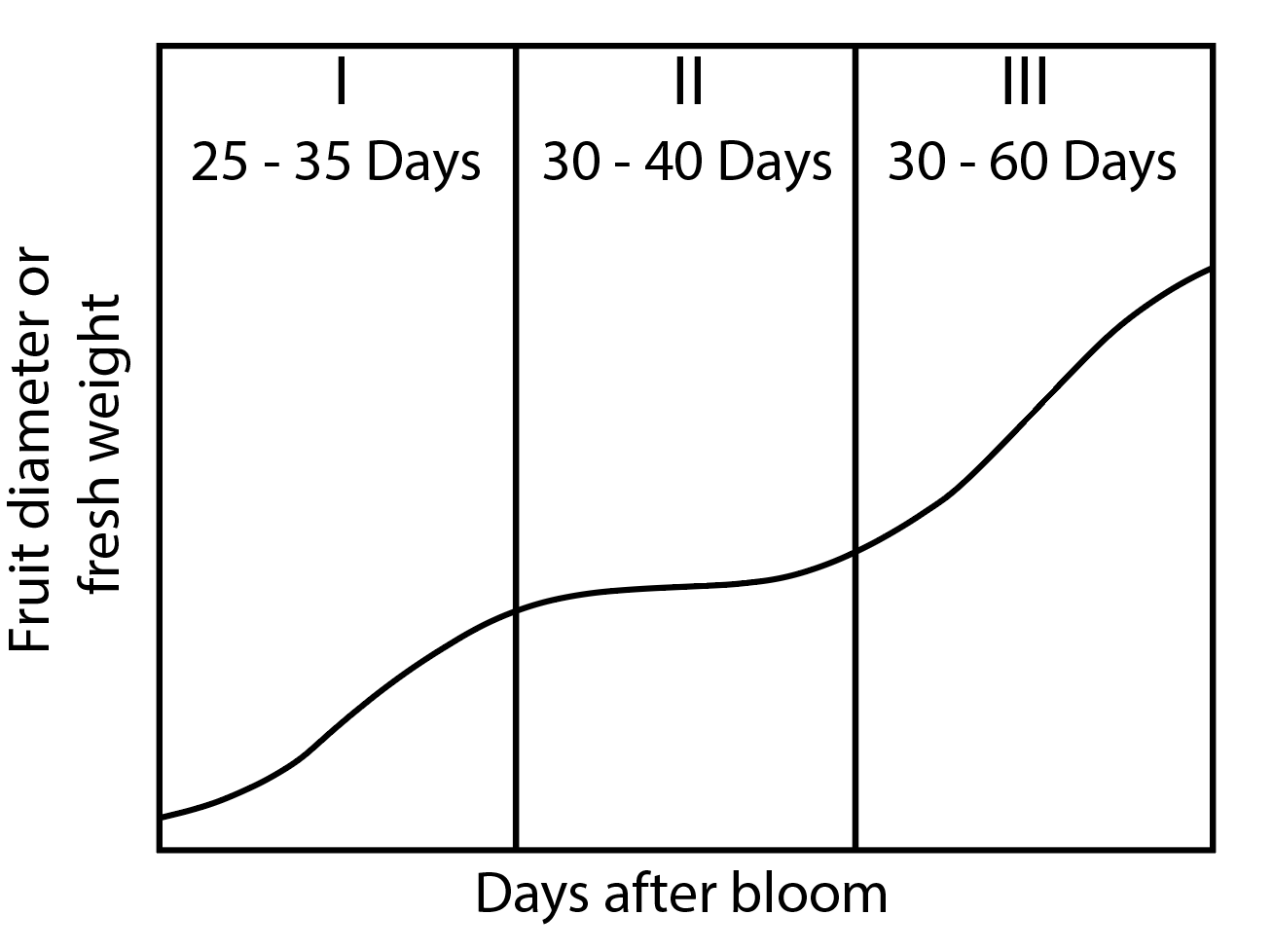 a chart indicating the stages of blueberry growth
