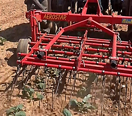 A tine weeder is parked in front of a field of vegetables.