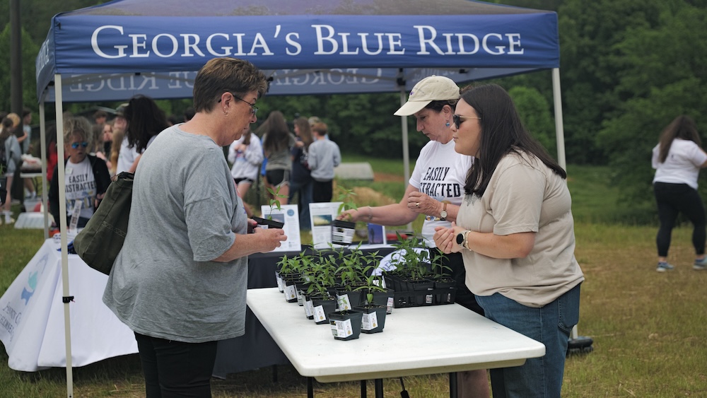 Becky Griffin hands out milkweed plants during a community giveaway event