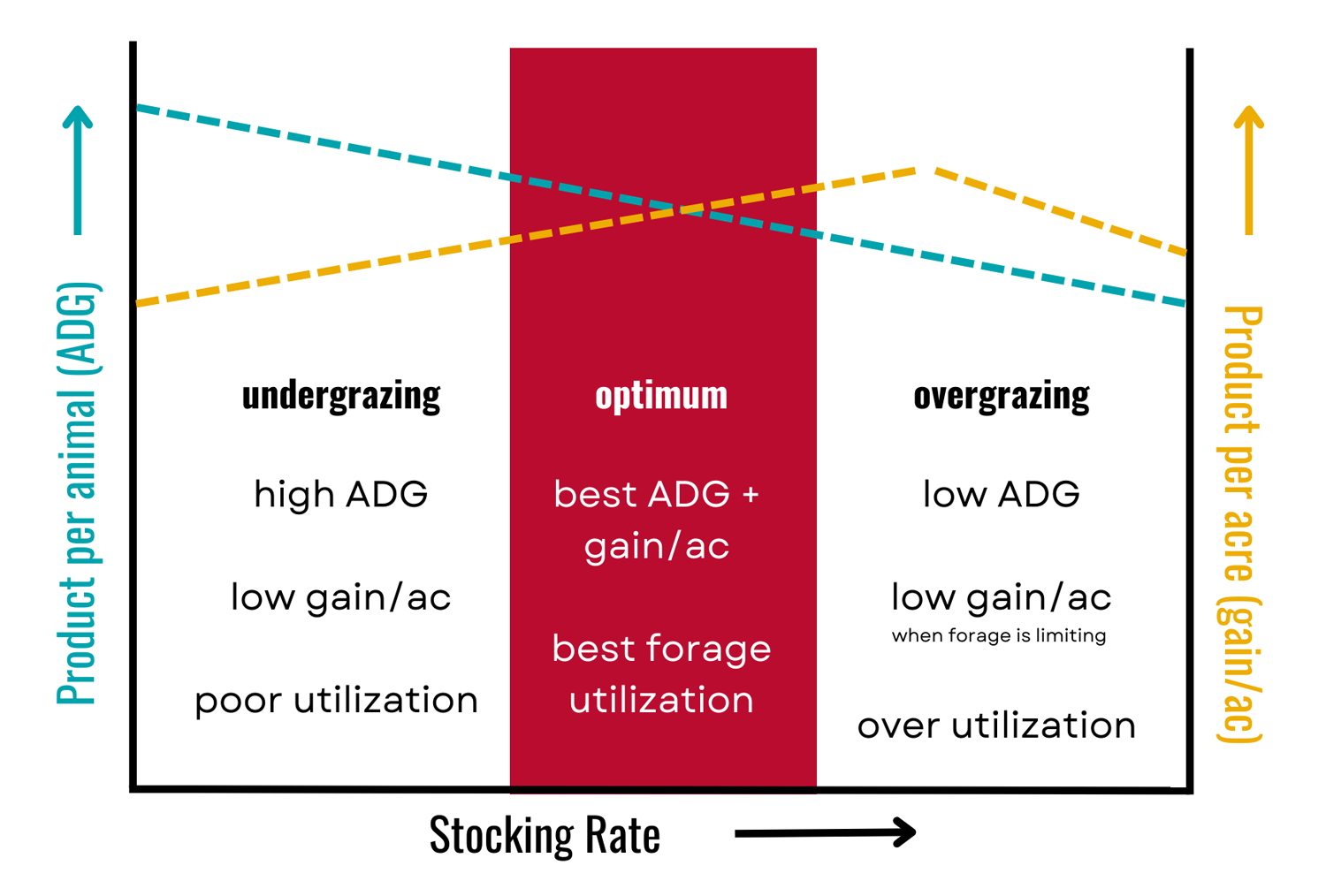 A chart shows the relationships among stocking rate, product per animal, and product per acre. At optimum stocking rates, product per acre and product per animal intersect and producers achieve the best gain per acre and best forage utilization.