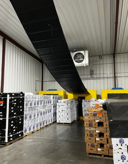 A forced-air setup within a cold room consists of a fan and a conveyor to bring the fruit into direct contact with the cold air flow.