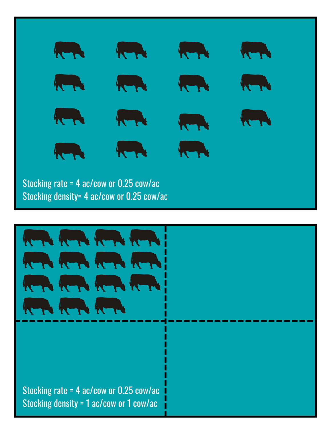 A continuously stocked pasture is shown on top, with an even distribution of 15 cows across 60 acres. The bottom shows a rotationally stocked pasture, where the 60 acres is divided into 4 equal pastures and 15 cows are in one of the pastures.