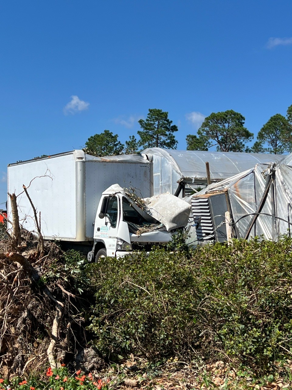 a box truck has a caved-in cab and a greenhouse is torn apart