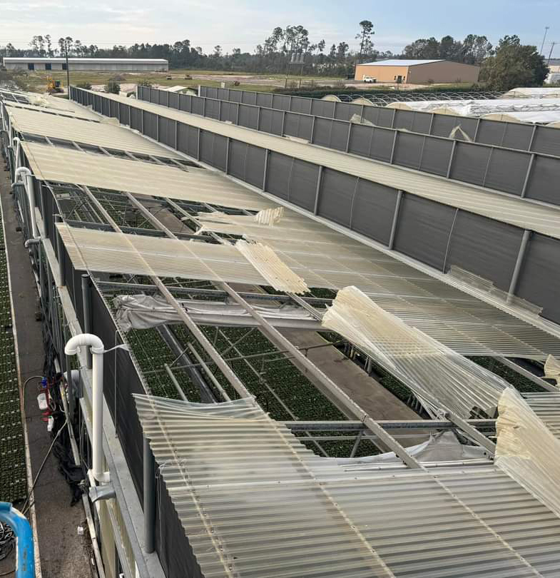 Viewed from above, a greenhouse with a roof made of rigid panels is splintered and broken, leaving the greenhouse open to the elements