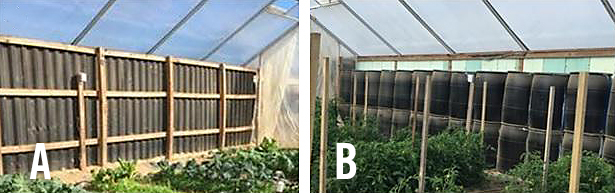 Two views of the thermal mass options built into the greenhouse; on the left is the sand-filled wall and on the right are the black barrels stacked and filled with water.