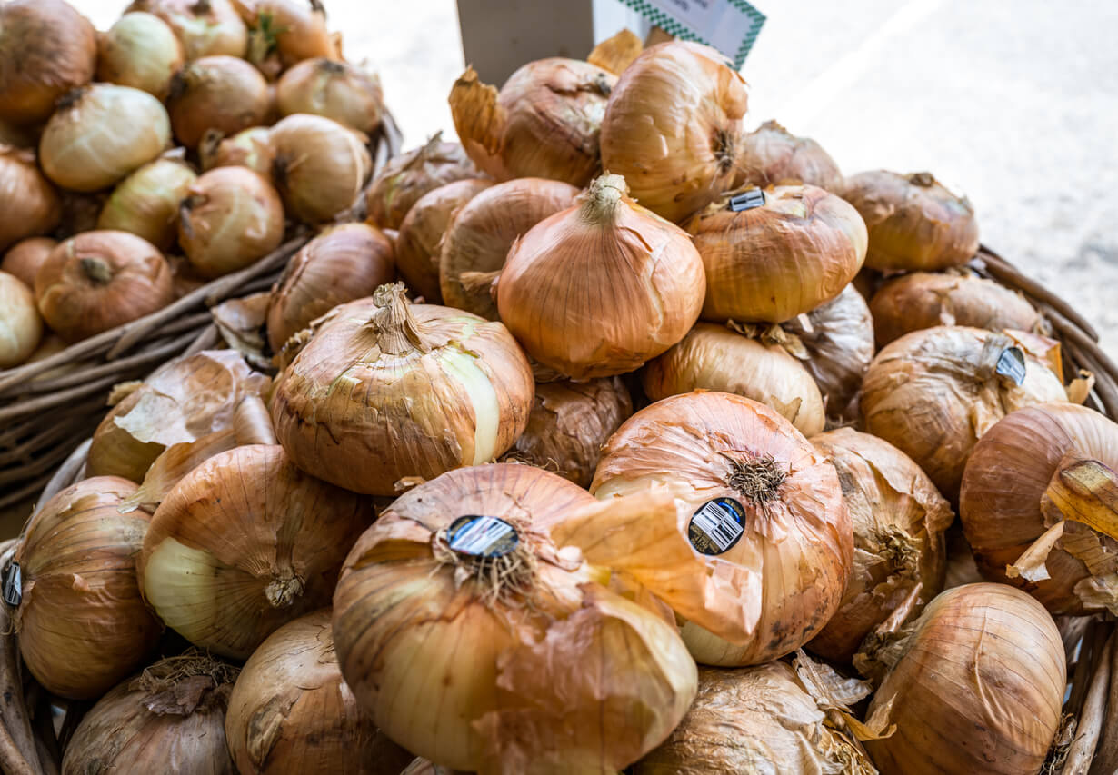 A bucket of fresh Vidalia onions for sale