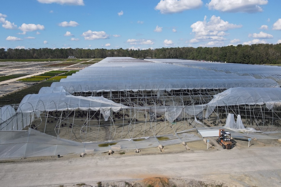 Hurricane Helene damage to greenhouses
