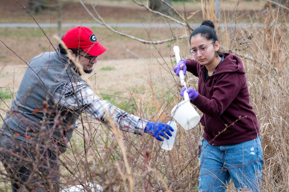 Jouman Hassan (right) and Issmat Kassem take samples for MCR research on the UGA Griffin campus
