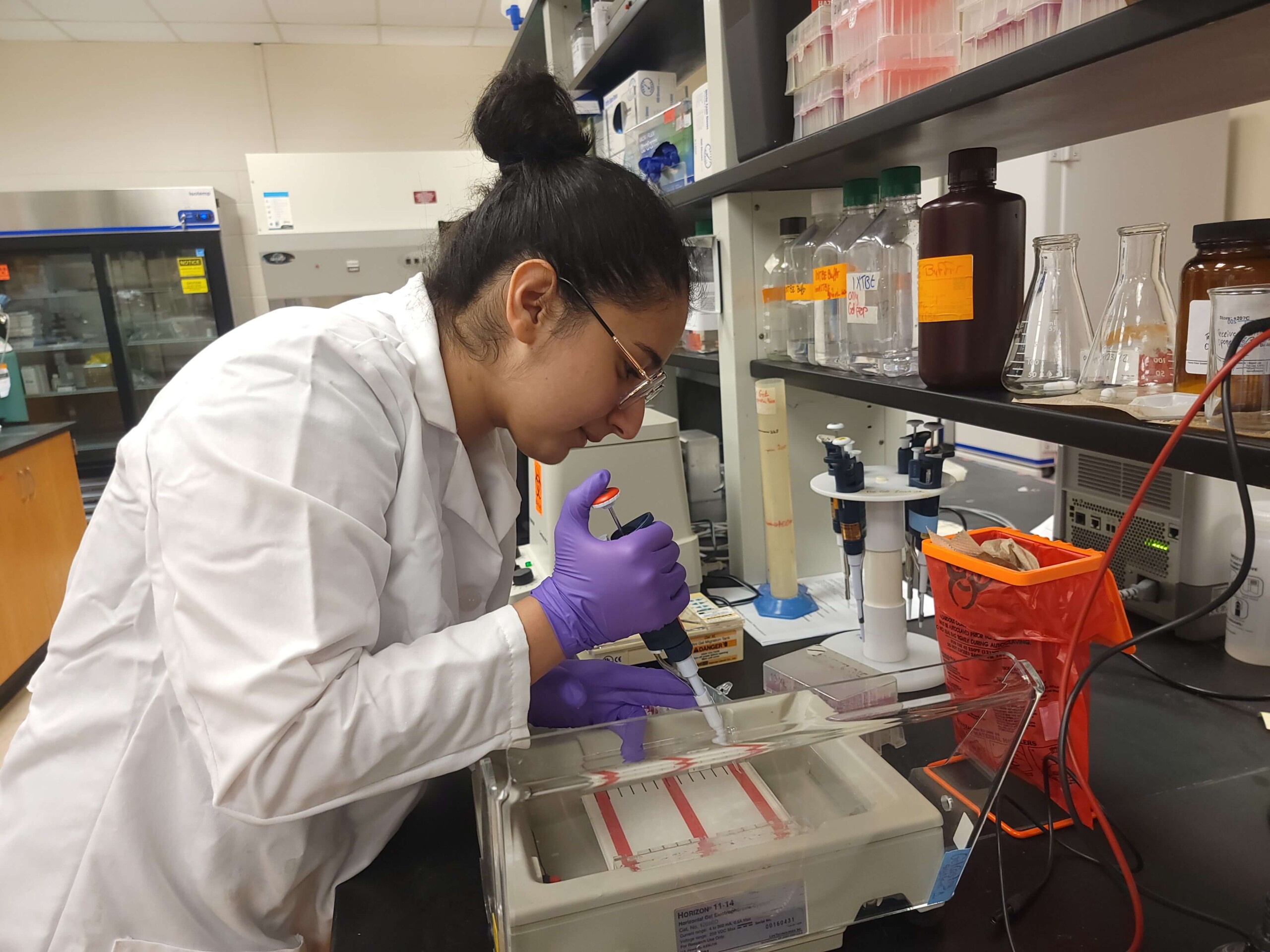 Jouman Hassan performs research in a lab