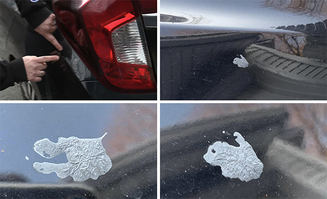 A four panel photo series showing close-ups of white egg masses on a car